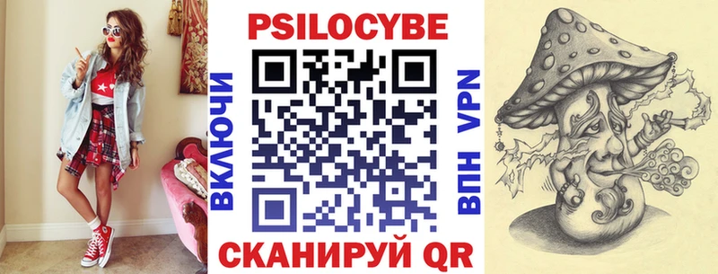 купить закладку  Суздаль  Псилоцибиновые грибы Psilocybine cubensis 